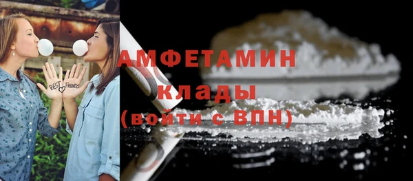 PSILOCYBIN Новокубанск