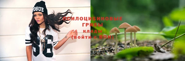 PSILOCYBIN Новокубанск