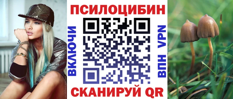 закладка  Энем  Псилоцибиновые грибы ЛСД 